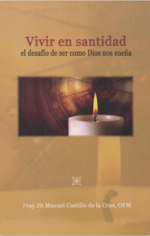Vivir en santidad, el desafío de ser como Dios nos sueña